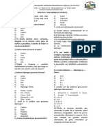 Práctica de Concurrencia Vocálica, Acentuación y Tildación