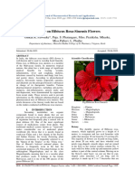 Review On Hibiscus Rosa Sinensis Flowers