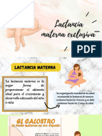 Lactancia Materna Exclusiva