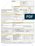 Sne Solicitud de Empleo Plantilla PDF