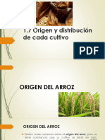 1.7 Origen y Distribución de Cada Cultivo