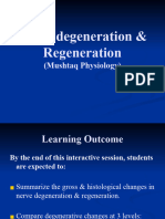 Nerve Degeneration & Regeneration