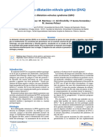 Síndrome de Dilatación-Vólvulo Gástrico (DVG) : Gastric Dilatation-Volvulus Syndrome (GDV)