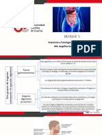 Bloque5 Aparato Digestivo Ok