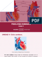 Unidad V - Presentación - Fisiología Humana III