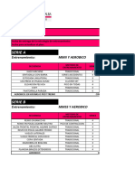 Serie A: Entrenamiento: Mmii Y Aerobico