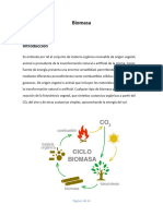 TP Final - Biomasa