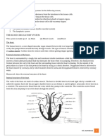 PDF File