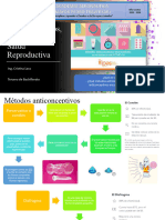 Métodos Anticonceptivos, Salud Sexual y Salud Reproductiva