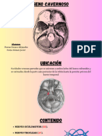 Exposición Clinica Neuro