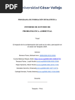 Estructura Del Informe de Problemática Ambiental Final