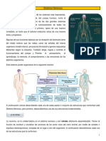 Apunte NÂ° 6. Sistema Nervioso - 2022 - SA