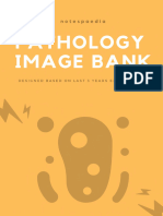 Pathology Image Bank Edition 2 0 Updated Upto NEET PG 2021