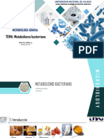 DIAPOSITIVAS. Metabolismo Bacteriano