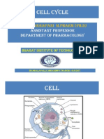 Basic Principles of Cell Injury and Adaptation