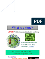 Virus