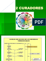 12 Curad - Bach Constitucionales