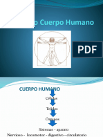 Nuestro Cuerpo Humano