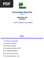 Slides Big Data Nassar