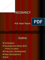 Lecture 1physiology of Pregnancy