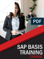 Sap bASIS