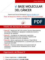 Tema 32 Ciclo Celular Apoptosis DGD