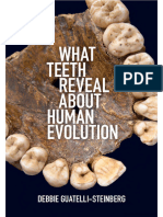 What Teeth Reveal About Human Evolution