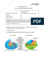 Taller Estructura Celula Eucariota y Procariota - Harolt Estiven