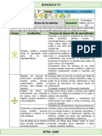 1er Grado Marzo - 01 Los Beneficios de Las Plantas (2023-2024)