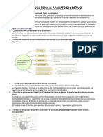 Actividades Tema 3 Aparato Digestivo