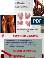 Puntos Hemostáticos (2016)