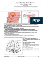 QA - Sistema Reprodutor 12ct1