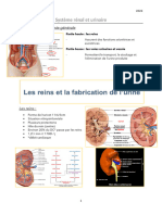 Système Rénal:urinaire