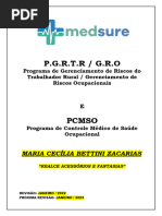 2022 - PGRTR - Modelo Nome Da Empresa