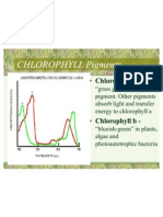 Non-Cyclic Photophosphorylation Notes 10-26 and 10-28