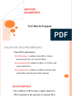 Transcription in Eukaryotes