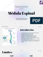 Médula Espinal: Diana Monserrath Ruiz Canales Karime Marilé León Estrada