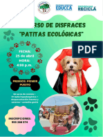 Bases - Patitas Ecológicas 2024