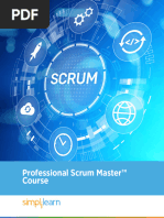 Professional Scrum Master