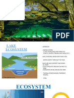 Lake Ecosystem