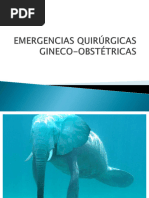 Emergencias Ginecologicas Seminario Postgrado