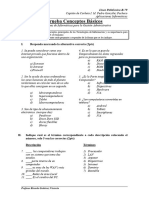 Prueba NM3 Conceptos Basicos (B)