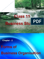 Chapter 2 - Forms of Business Orgns..RAJESH SIR