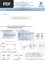 Reproduction Sexuée Et Asexuée - Séance 4 Champignons 2024 PDF
