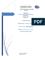 Rapport 2