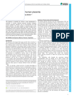 Development of The Human Placenta