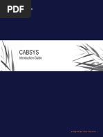 Cabsys Introduction Guide