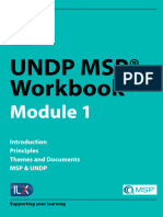 Undp MSP Workbook 1