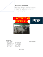 Actividad Pecuaria