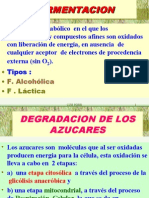 Productos de Fermentacion